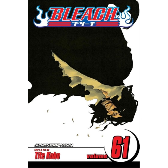 Bleach 61 image 0