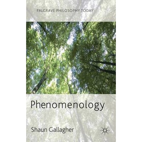 Phenomenology image 0