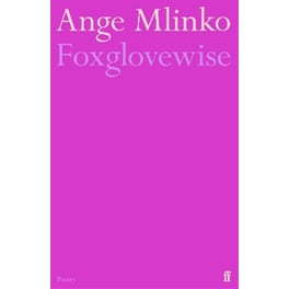 Foxglovewise