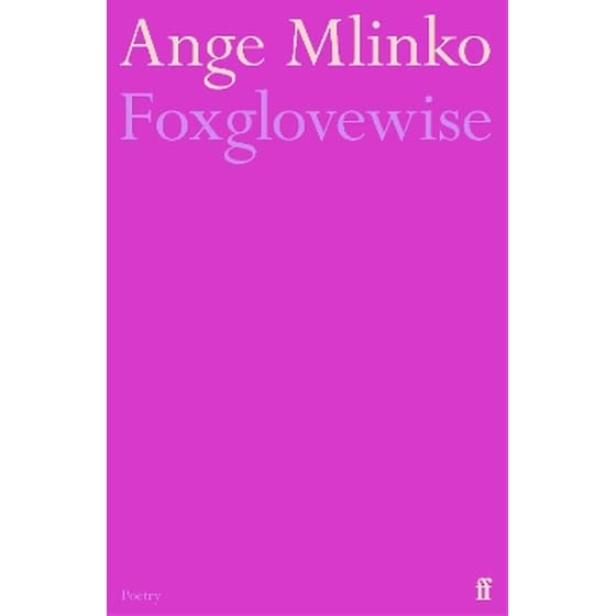 Foxglovewise image 0