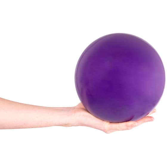 Μπάλα Γυμναστικής Insportline Κατάλληλη για Yoga, 5kg - Mωβ image 1