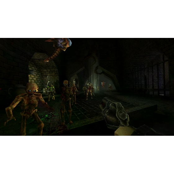 Wrath: Aeon of Ruin - Nintendo Switch image 3