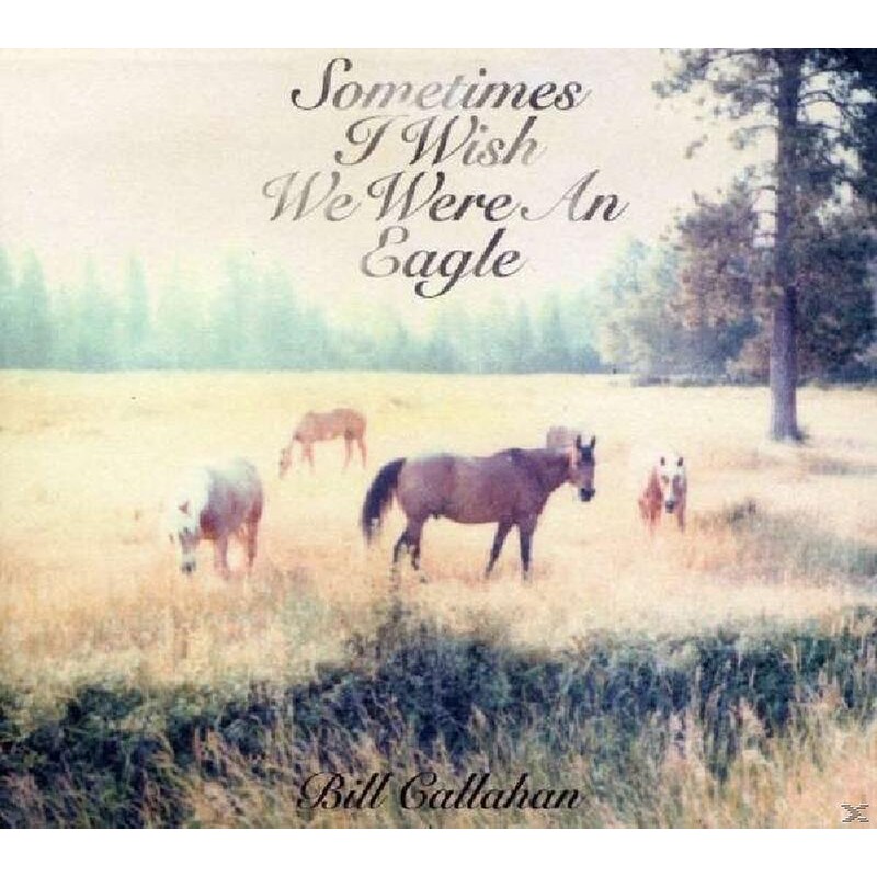 Sometimes I Wish We Were
