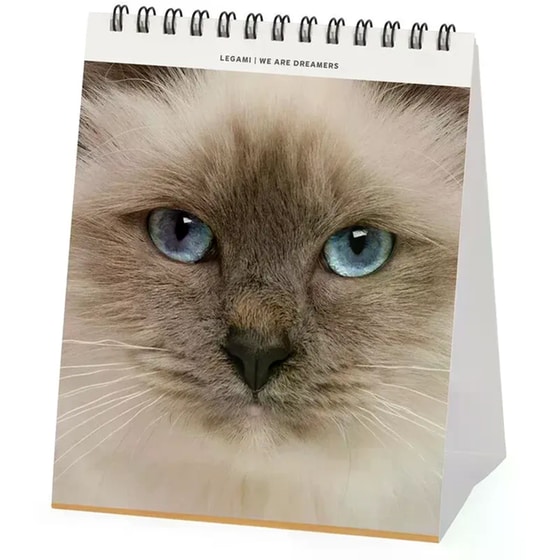 Ημερολόγιο Επιτραπέζιο Legami 2025 Cats 12x14.5cm image 1
