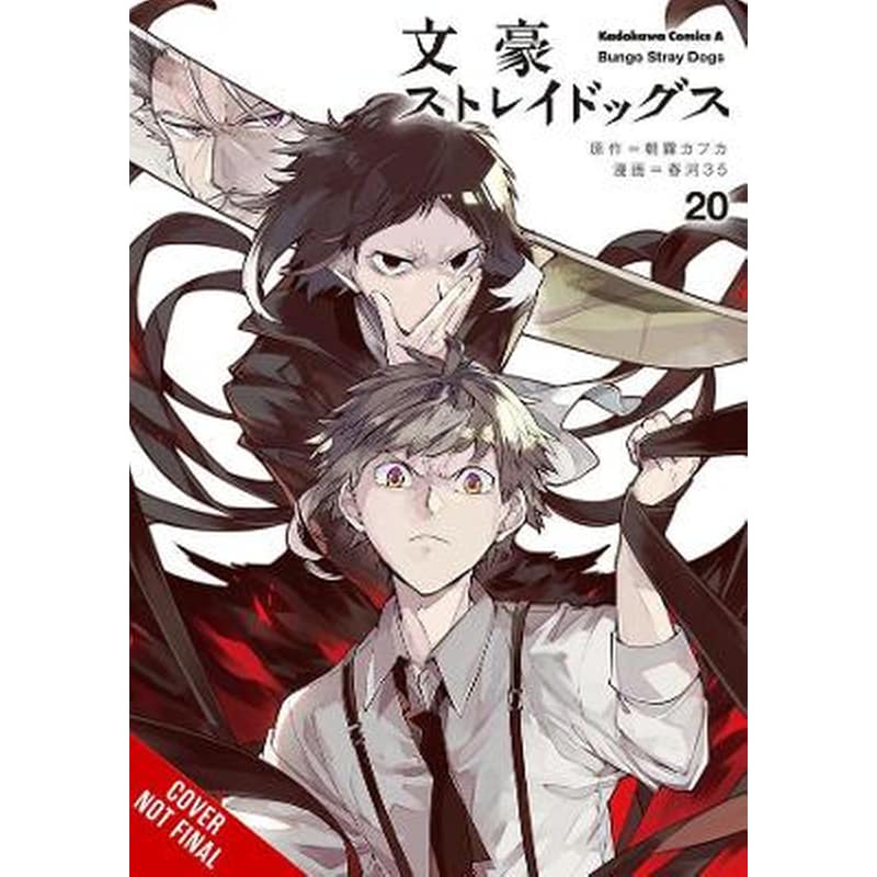 Bungo Stray Dogs, Vol. 20