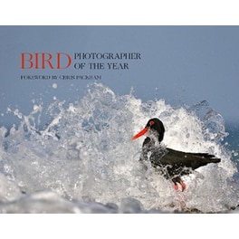 BIRD PHOTOGRAPHER OF THE YEAR: COLLECT.5