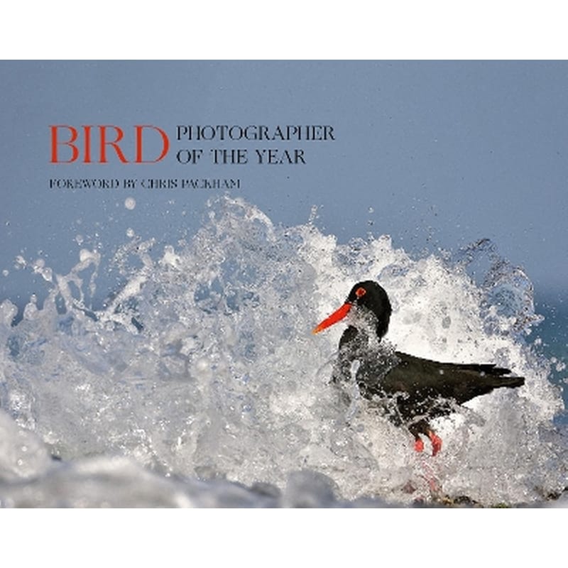 BIRD PHOTOGRAPHER OF THE YEAR: COLLECT.5