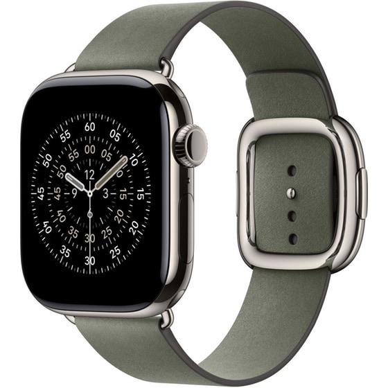 Λουράκι Apple Modern Buckle S για Apple Watch 42mm - Sage Grey image 2