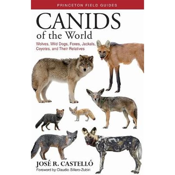 Canids of the World image 0