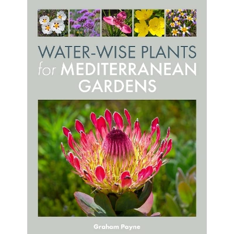 Water-Wise Plants for Mediterranean Gardens