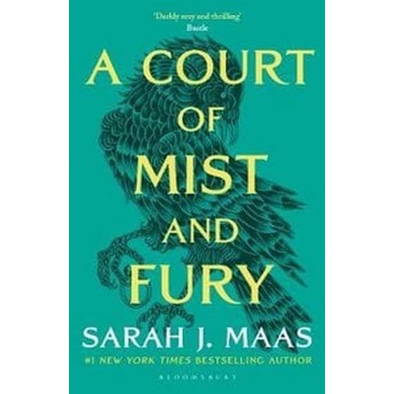 A Court of Mist and Fury image 0