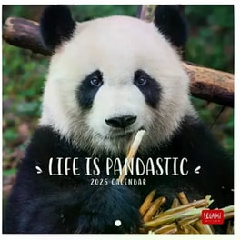 Ημερολόγιο Τοίχου Legami 2025 Life Is Pandastic 18x18cm