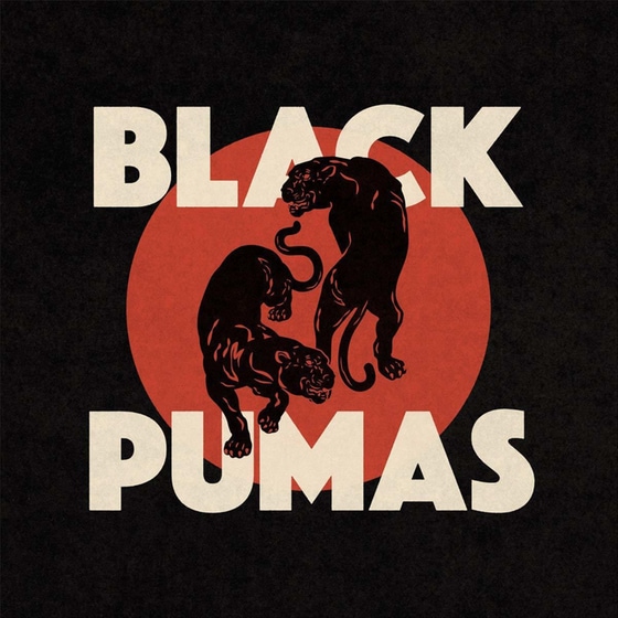 Black Pumas image 0