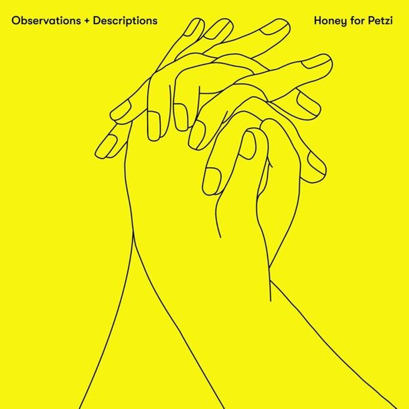 Observations Descriptions