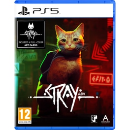 PS5 Used Game - Stray