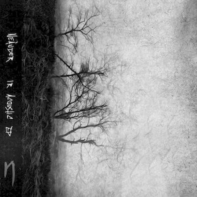 Ir Acoustic (Marbled LP 12)