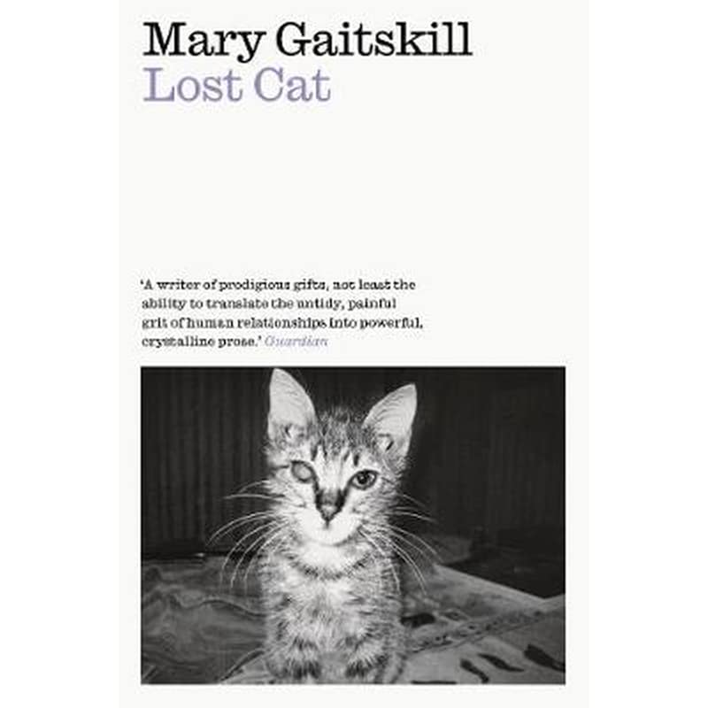 Lost Cat