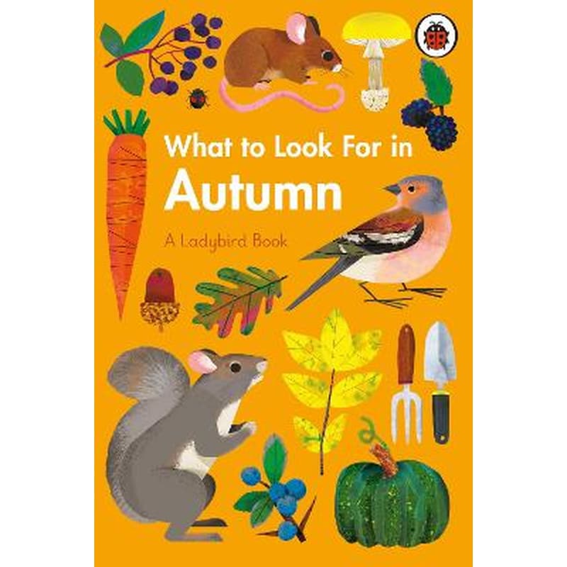 What to Look For in Autumn