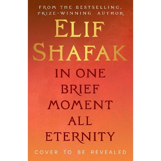 In One Brief Moment All Eternity image 0