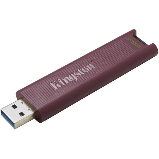 Kingston DataTraveler 256GB USB 3.2 Stick - Μπορντό image 1