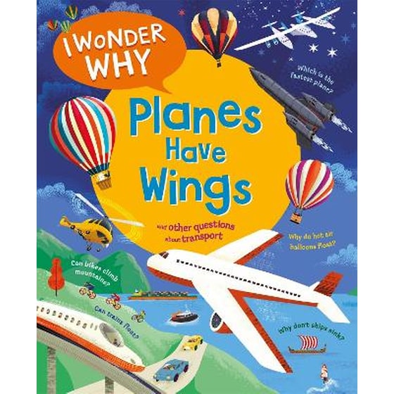 I Wonder Why Planes Have Wings image 0