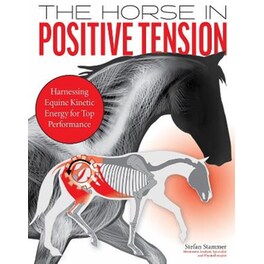 The Horse in Positive Tension