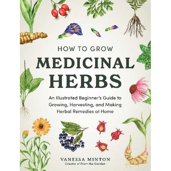 How to Grow Medicinal Herbs image 0