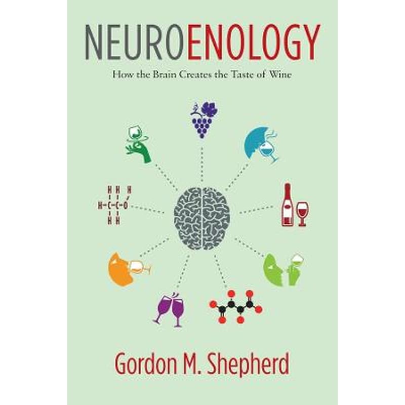 Neuroenology