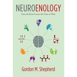 Neuroenology