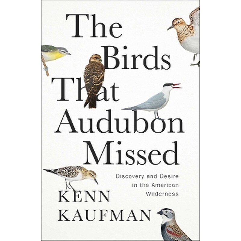 The Birds That Audubon Missed
