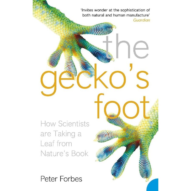 The Geckos Foot