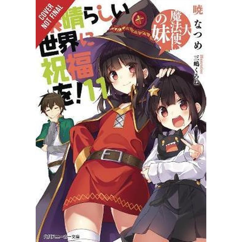 Konosuba: Gods Blessing on This Wonderful World!, Vol. 11 (light novel)