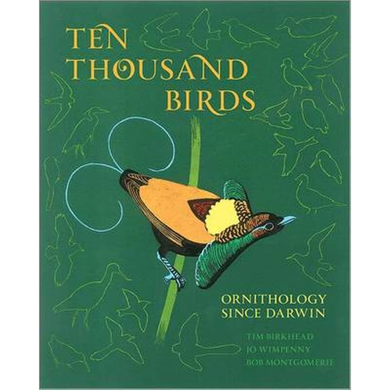 Ten Thousand Birds