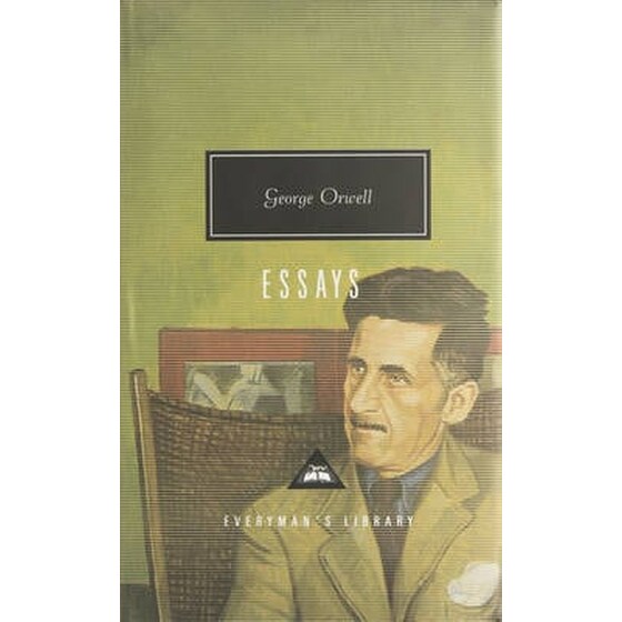 Essays image 0