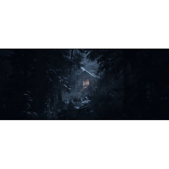 Until Dawn - PS5 image 3