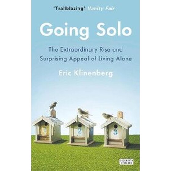Going Solo image 0