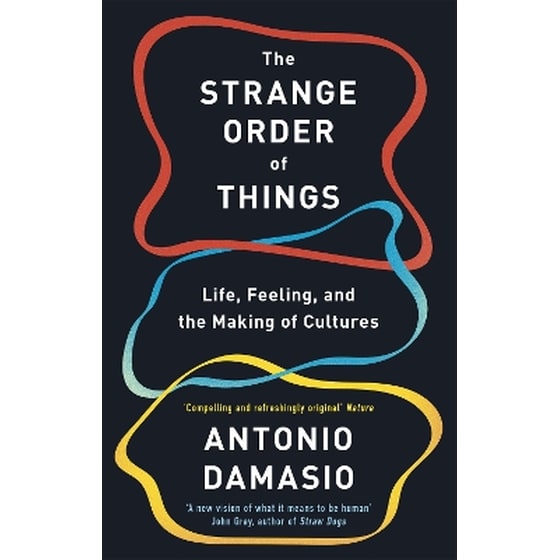 The Strange Order Of Things image 0