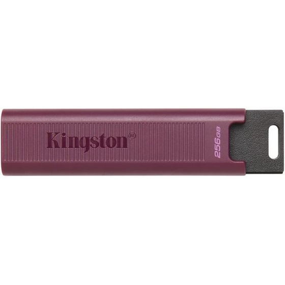 Kingston DataTraveler 256GB USB 3.2 Stick - Μπορντό image 0