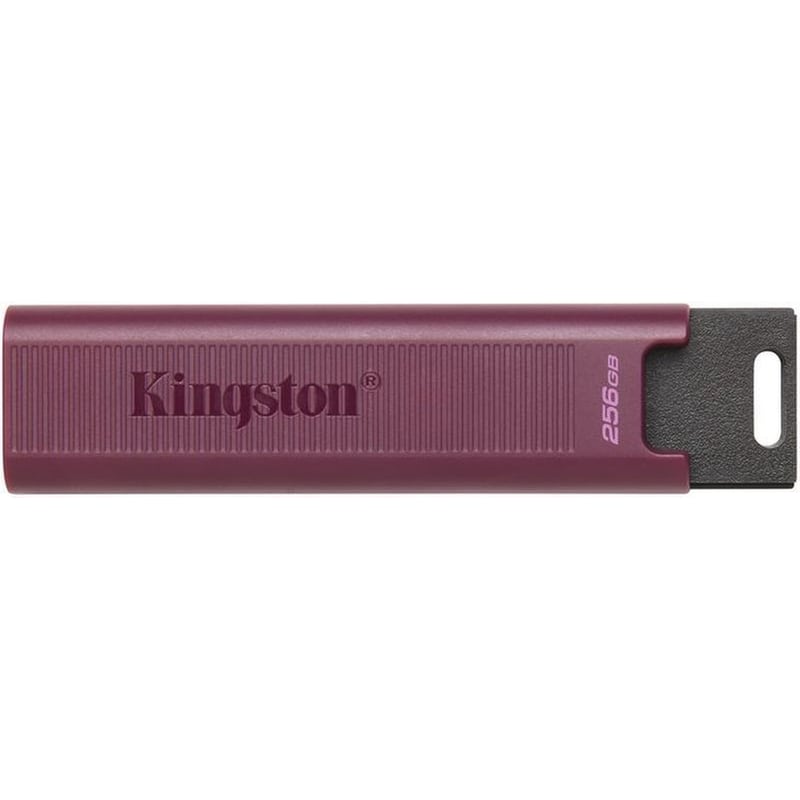 Kingston DataTraveler 256GB USB 3.2 Stick - Μπορντό