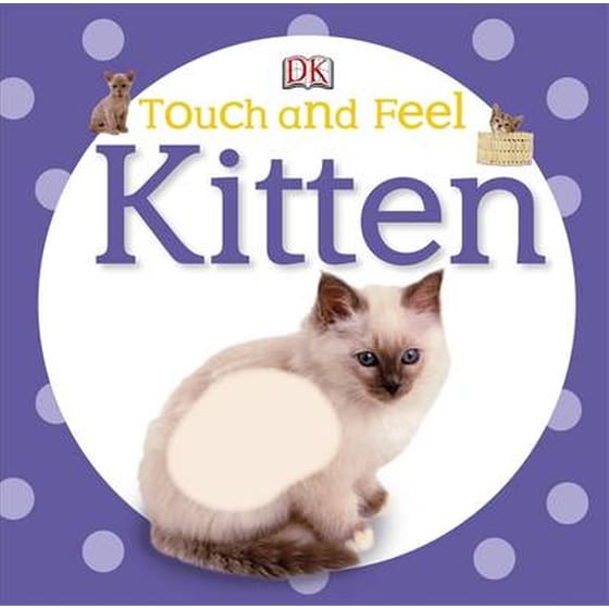 Kitten image 0