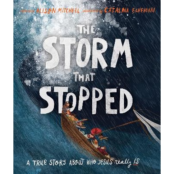 The Storm That Stopped Storybook image 0