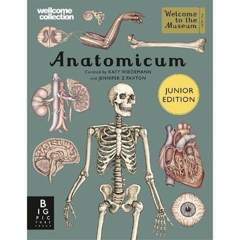 Anatomicum Junior