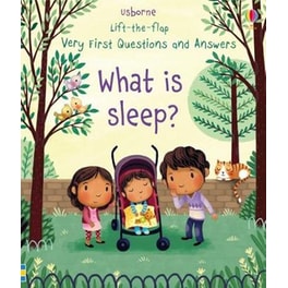 What is Sleep?