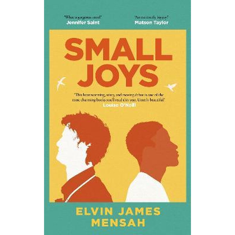 Small Joys : The most moving and uplifting debut novel of 2023