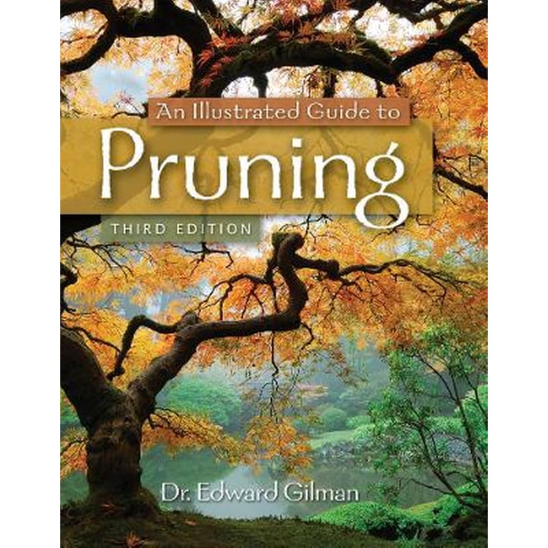 An Illustrated Guide to Pruning