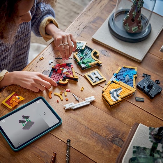LEGO® Harry Potter™ Θυρεός Κοιτώνων του Χόγκουαρτς (76462) image 13