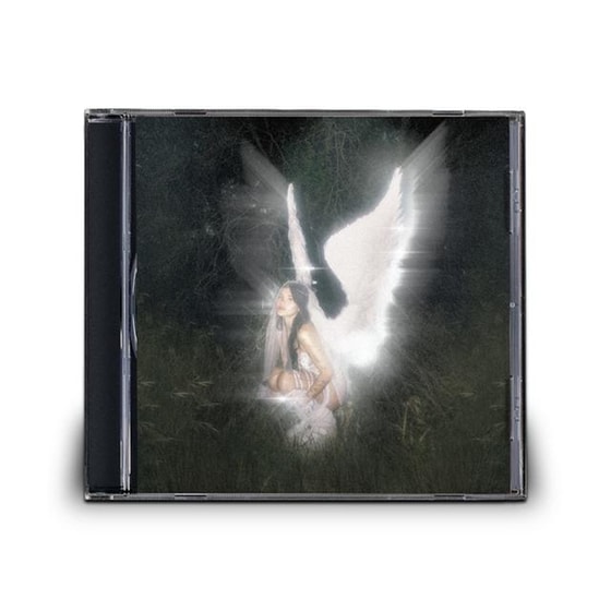 Young Forever image 2