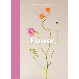 Flower.