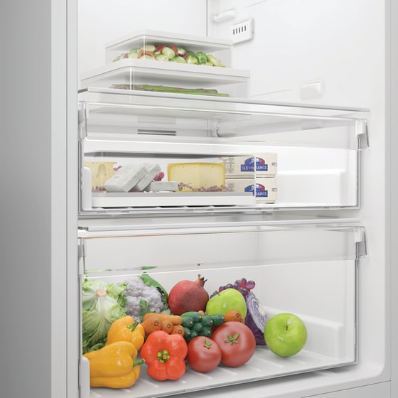 INDESIT MLINS 1411 W4E 367 Lt  Λευκό Ψυγείο Μονόπορτο image 16