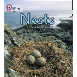 NESTS NESTS- Band 02A/Red A